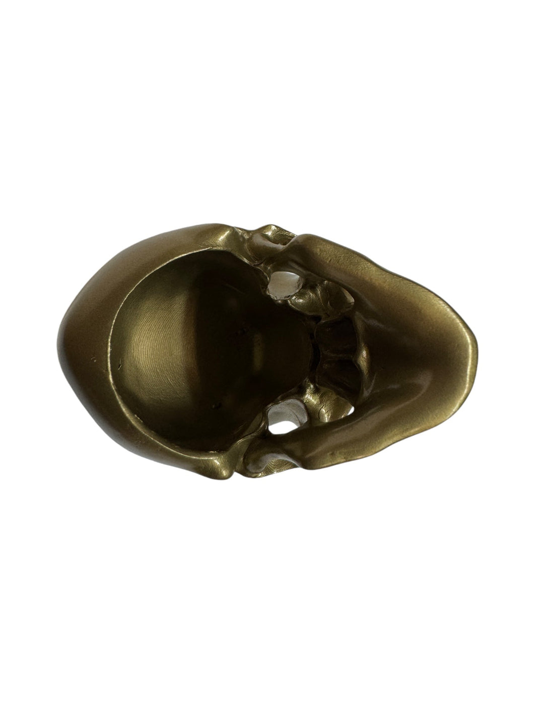 Brass Omni-Mount Colossus Skull by Maratac® 🚨 "Prime" Sale! 🚨