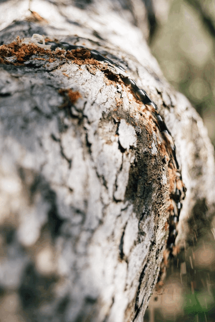 XL Ultimate Survival Chainsaw Kit - Gen 2 - Sale!